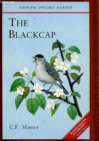 The blackcap