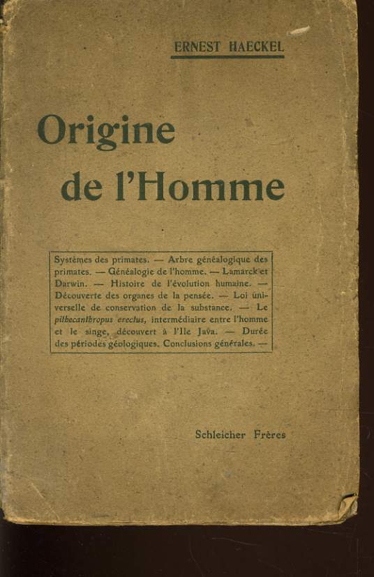 ORIGINE DE L'HOMME