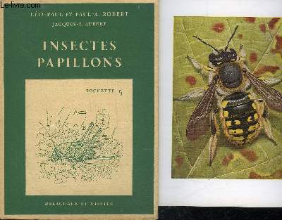 INSECTES PAPILLONS - POCHETTE N5.