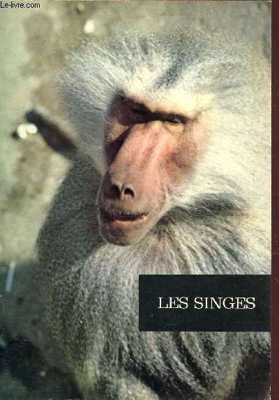 LESS SINGES / collection.