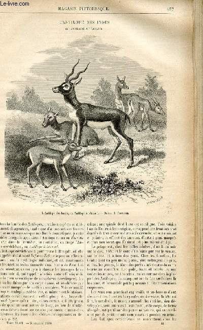 LE MAGASIN PITTORESQUE - Livraison n48 - L'antilope des Indes ou antilope  Bzoard.