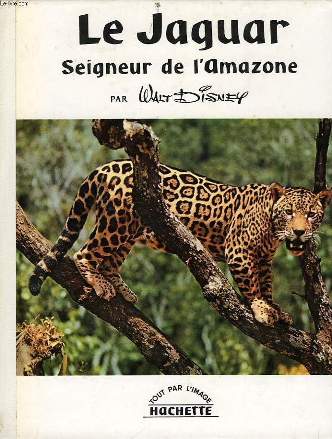 LE JAGUAR SEIGNEUR DE L'AMAZONE