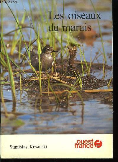 Les oiseaux du Marais.
