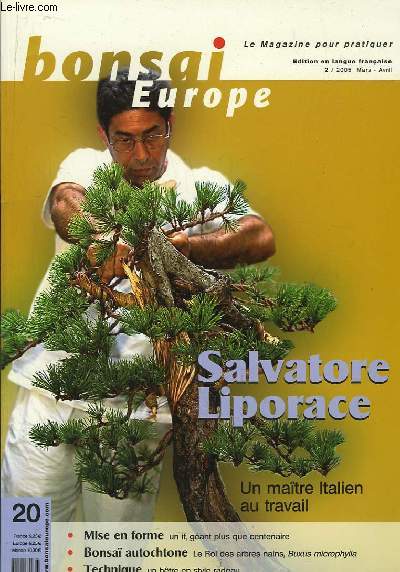Bonsai Europe N20 : Salvatore Liporace, un maitre italien au travail. Un if, gant plus que centenaire. Le Roi des arbres nains, Buxus microphylla. Un htre en style radeau.
