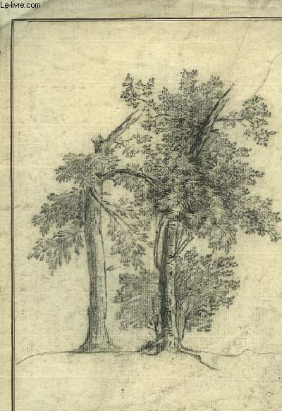 Dessin original, au crayon, de 2 arbres isols, dont un avec une branche coupe.