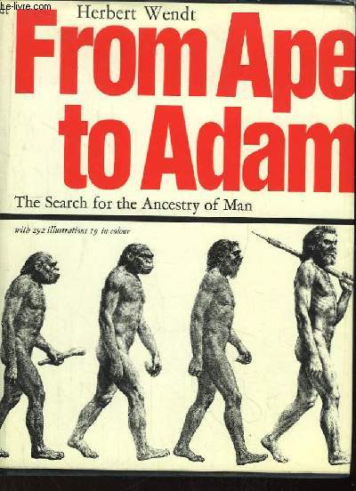 From Ape to Adam. The search for the ancestry of man