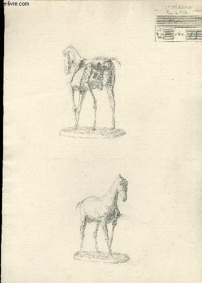 Une planche illustre de 2 dessins originaux, de squelettes de chevaux, sur socles.