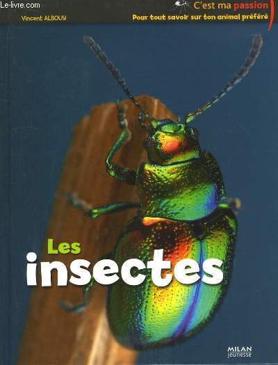 Les insectes.