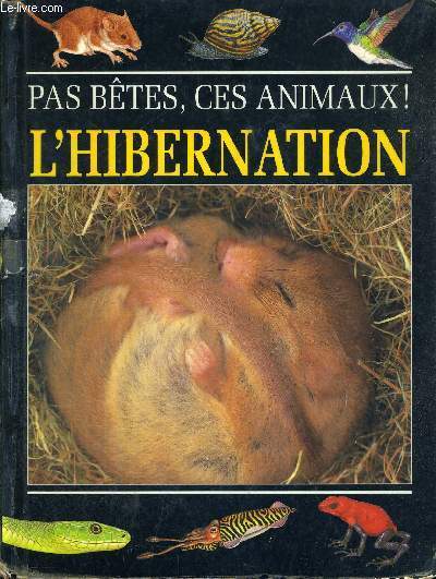 L'HIBERNATION - PAS BETES, CES ANIMAUX