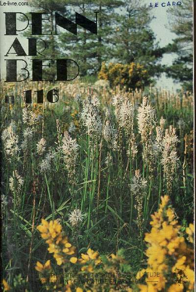Penn Ar Bed, 31e anne, volume 15, n116 : La piste de Terre Adlie (Christophe Offredo) / Histoire de dames (Ewenn de Kergariou) / Les plantes protges de Bretagne (Jean-Pierre Ferrand) /...